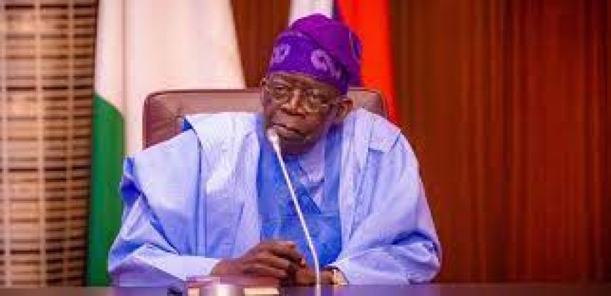 Tinubu sets up committee on tax reforms